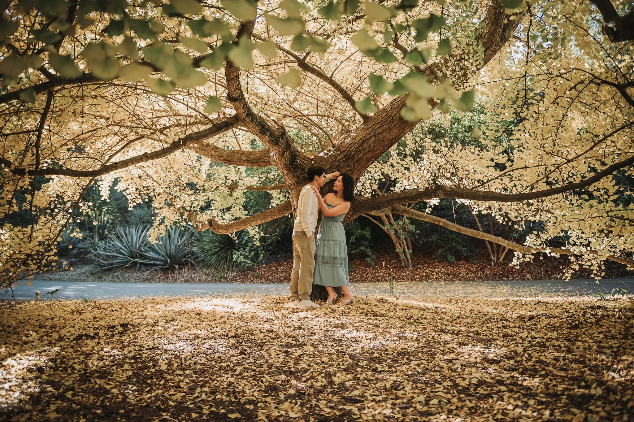 Essential Wedding Package